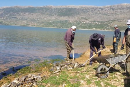 Thousands of fish died in Lake Qaraoun, Lebanon