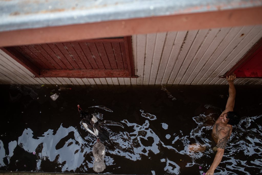 Anama, the Venice of the Amazon faces one of its biggest floods