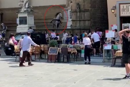 Angry Horse causes panic in florence, italy