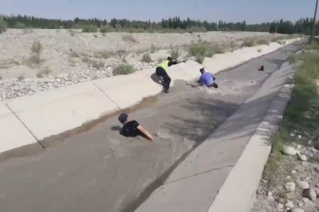 Chinese police officers save sheep from ditch