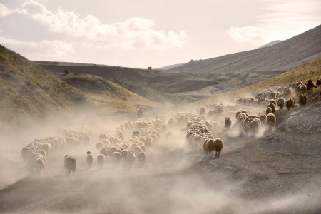 Dusty Journey Near Mount Nemrut, Turkey