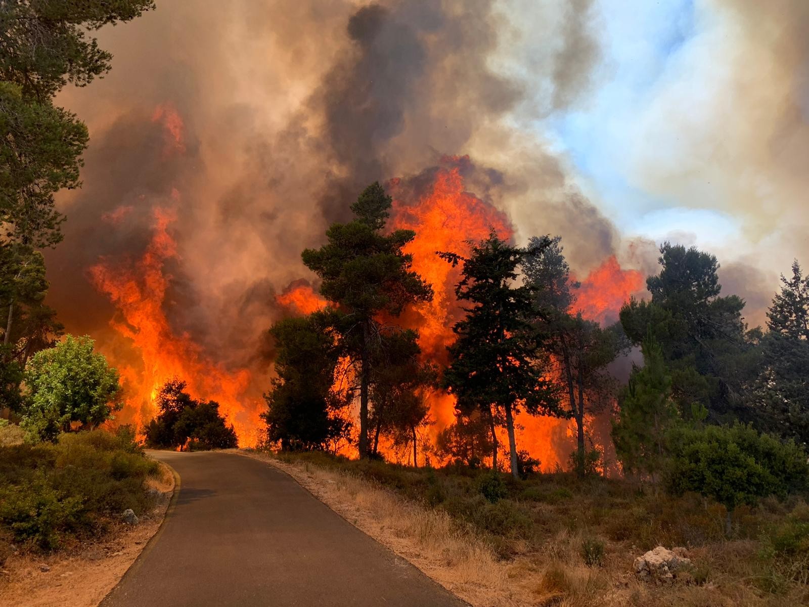 Forest fire mk ii. Лесные пожары. Лесные пожары в Израиле. Природные пожары в Колорадо. Пожар на Кипре.