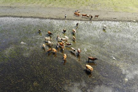 lakes In Erzurum are in danger