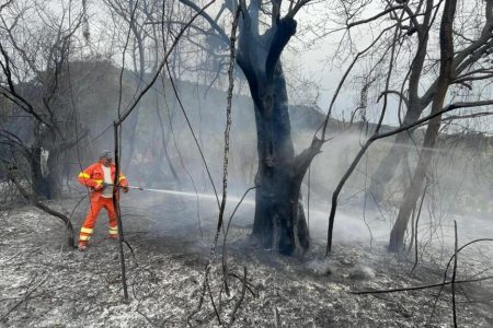 forest fires continue in the island of sardinia, Italy
