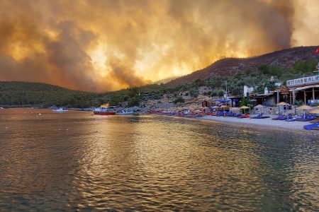 Çökertme Bay in Turkey backs to life