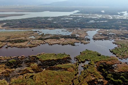 Karacabey floodplain forest in Turkey depicts natural beauty in every season