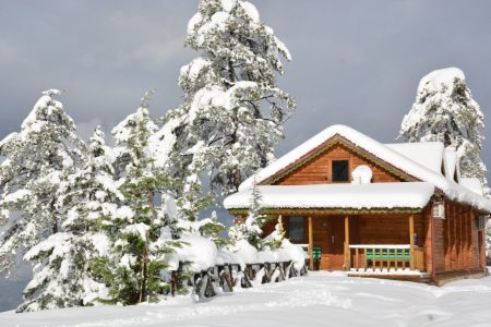 turkey’s yenice urban forest blanketed in snow