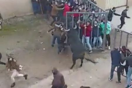 A raging bull attacked audiences at bullfighting festival in Spain