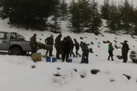 Fodder left on the snow-covered mountains for wild animals in Turkey