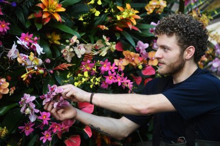 Annual Kew Orchid Festival in London