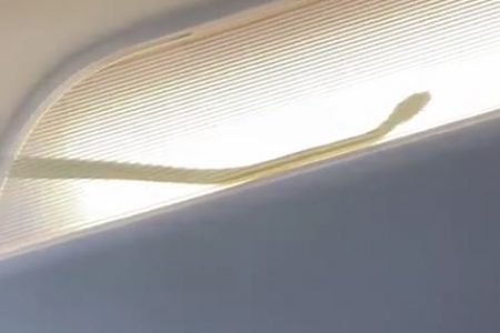 An airliner made an emergency landing after a snake got into the cabin in Malaysia