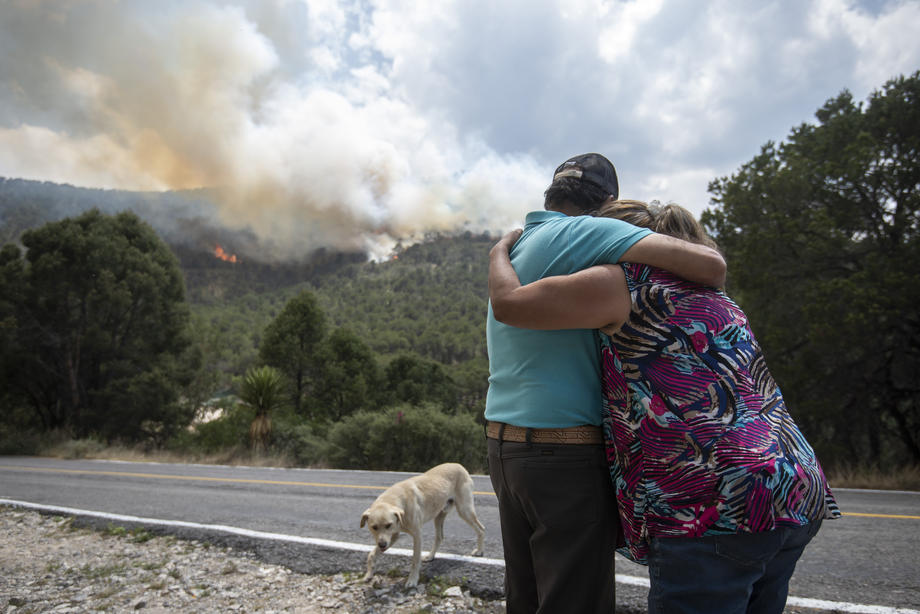 Heat wave triggers forest fires across Mexico IHA News