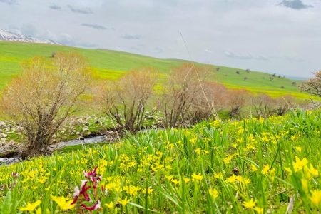 The revitalized nature in Ağrı fascinates those who see it