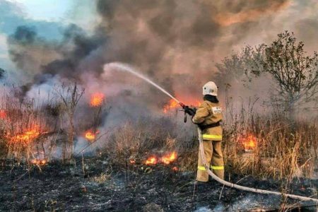 Response to forest fires continues in Russia