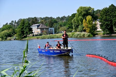 A hundred tons of dead fish taken out from Poland’s River Oder