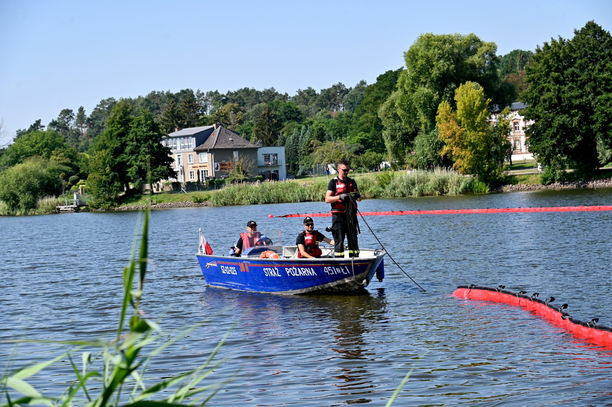 a-hundred-tons-of-dead-fish-taken-out-from-poland-s-river-oder-iha-news