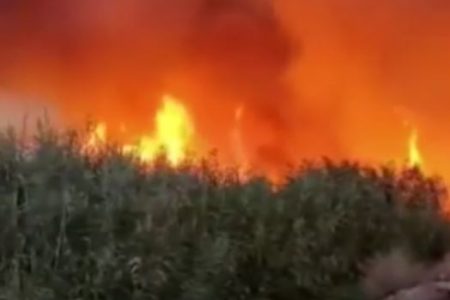 Fire in Mosul Valley