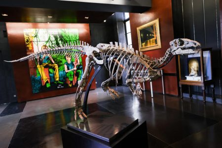 Rare dinosaur fossil sells at Paris auction