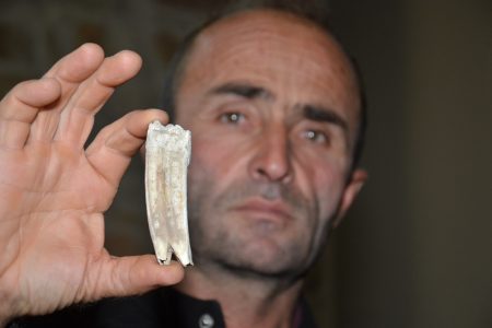 Turkish farmer finds 16-million old horse tooth