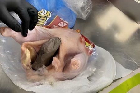 Gun found stashed in chicken in US airport