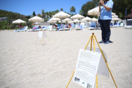 Hotels protect loggerhead sea turtle nests on Alanya beaches