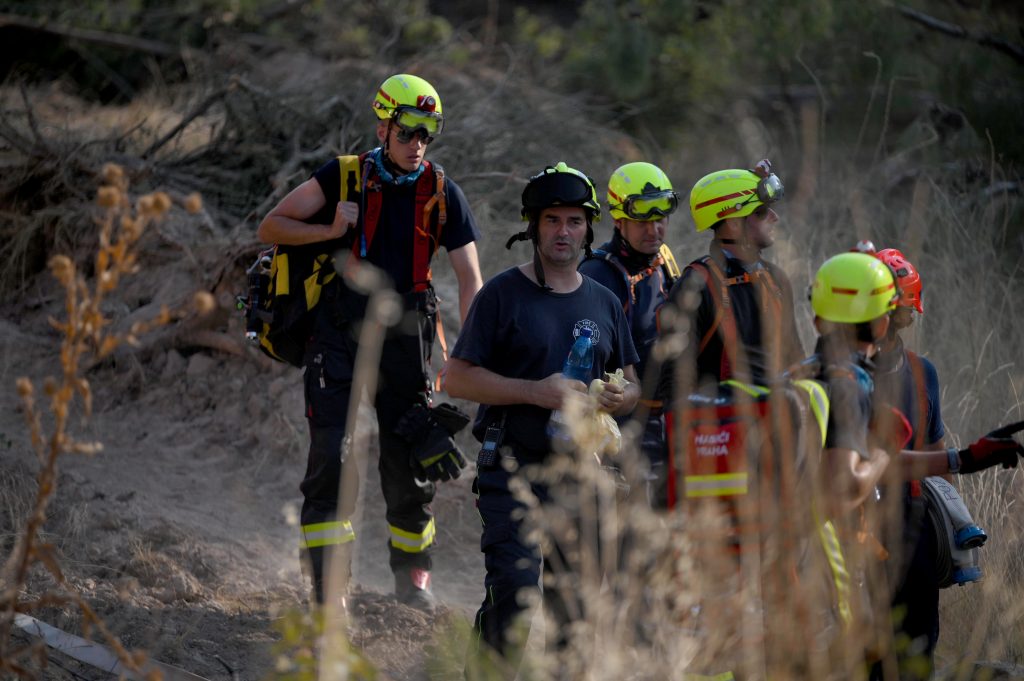 Wildfire in Dadia National Park in Evros