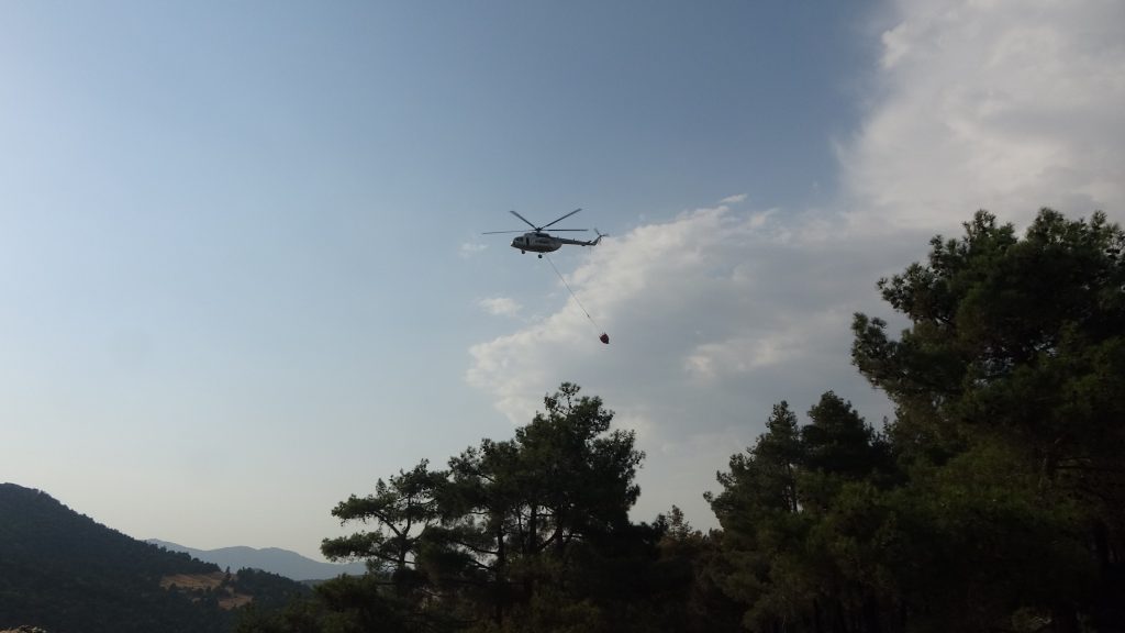 DENİZLİ'DE ORMAN YANGININDA 20 HEKTAR ALAN KÜL OLDU