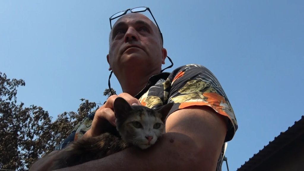 (ÖZEL) ÇANAKKALE YANGINI EN ÇOK ONU VURDU... 20 YILLIK EMEKLERİ KÜLE DÖNDÜ GÖZ YAŞLARI SEL OLDU ÇOK SAYIDA HAYVAN TELEF OLDU, AĞAÇLAR İKİYE BÖLÜNDÜ SAĞ KALAN KEDİSİNİ GÖRÜNCE GÖZYAŞLARINA BOĞULDU 1 HAFTA SONRA KIZININ DÜĞÜNÜNÜ YAPACAKTI TÜM MAL VARLIĞI YANDI NE KEDİSİ O NU, NE O KEDİSİNİ BIRAKMADI