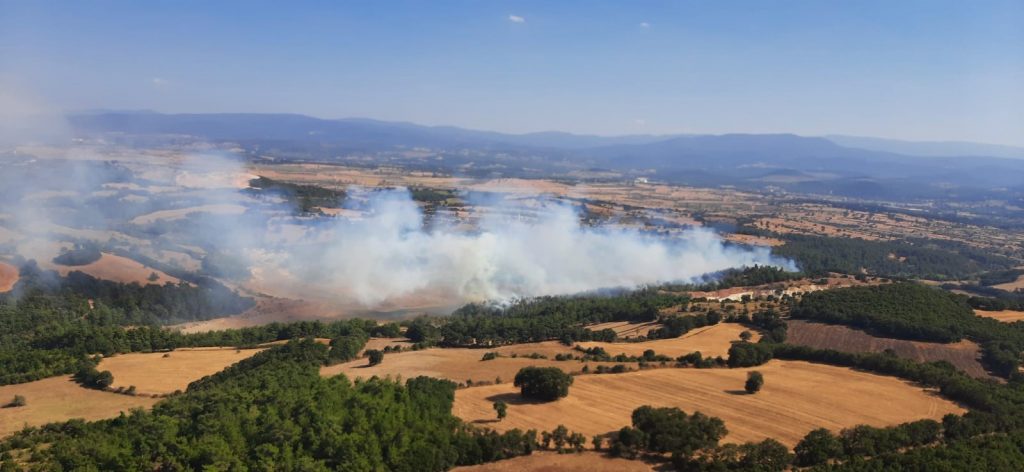 ÇAN'DA ORMAN YANGINI