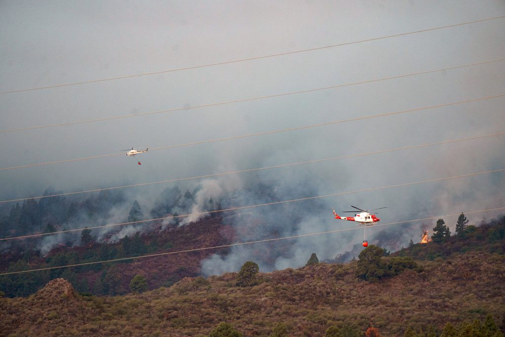 Wildfire in Tenerife island