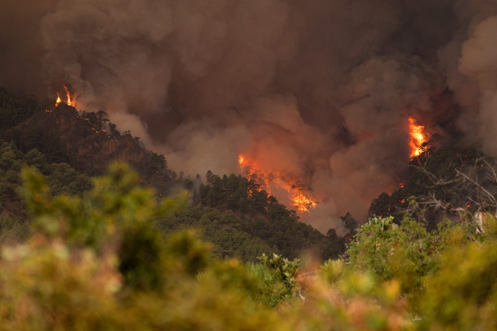 Wildfire in Tenerife island