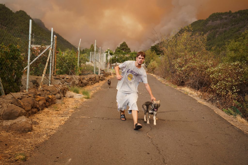 Wildfire in Tenerife island