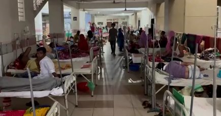 Dengue fever in Bangladesh claims 909 lives; hospitalizations surge ...