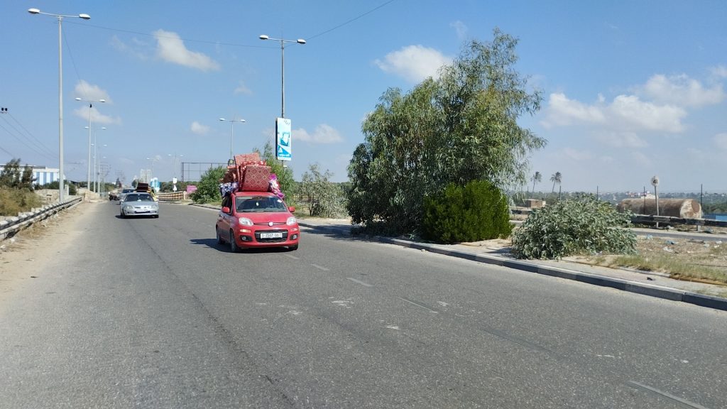 GAZZELİLER GÜNEYE GÖÇ ETMEYE BAŞLADI