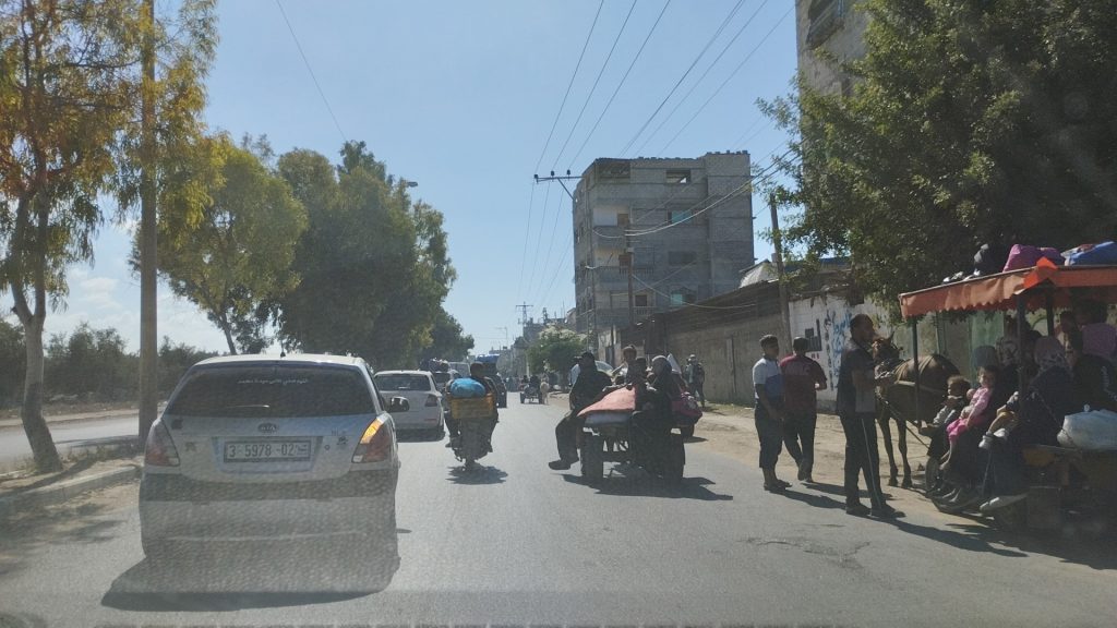 GAZZELİLER GÜNEYE GÖÇ ETMEYE BAŞLADI