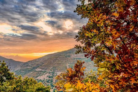 Autumn Paints Aydın, Türkiye in Vibrant Colors