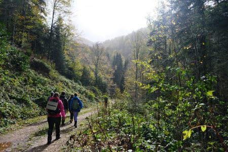 Trekkers Capture Stunning Autumn Landscapes in Türkiye