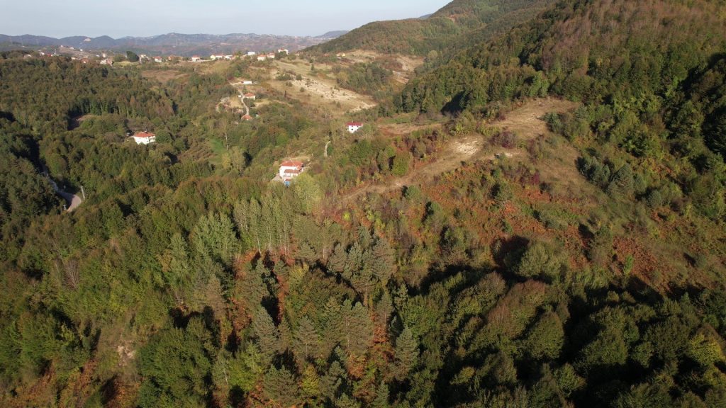 ZONGULDAK ORMANLARINDA SONBAHAR GÜZELLİĞİ
