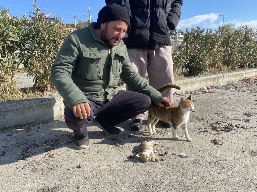 İSTANBUL'DA BİR ÇOK KEDİ DEV DALGALAR ARASINDA BOĞULDU