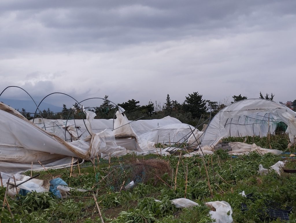 SAMANDAĞ'DA ÇIKAN HORTUM SERALARI YERLE BİR ETTİ DEPREMZEDE VATANDAŞLARI HORTUM VURDU