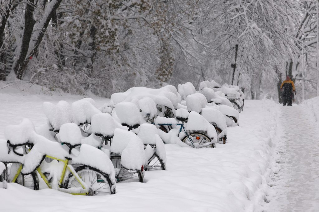 Heavy snowfall causes disruptions in southern Germany