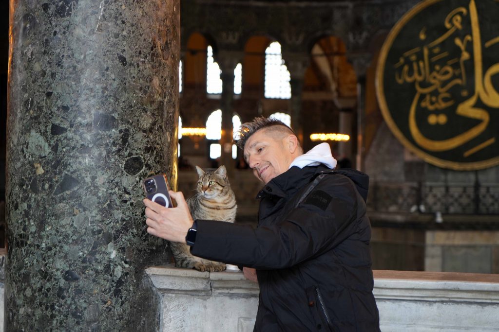 AYASOFYA CAMİİ'NİN ZİYARET KATINA GİREN İLK KEDİ TURİSTLERİN YENİ GLİ'Sİ OLDU