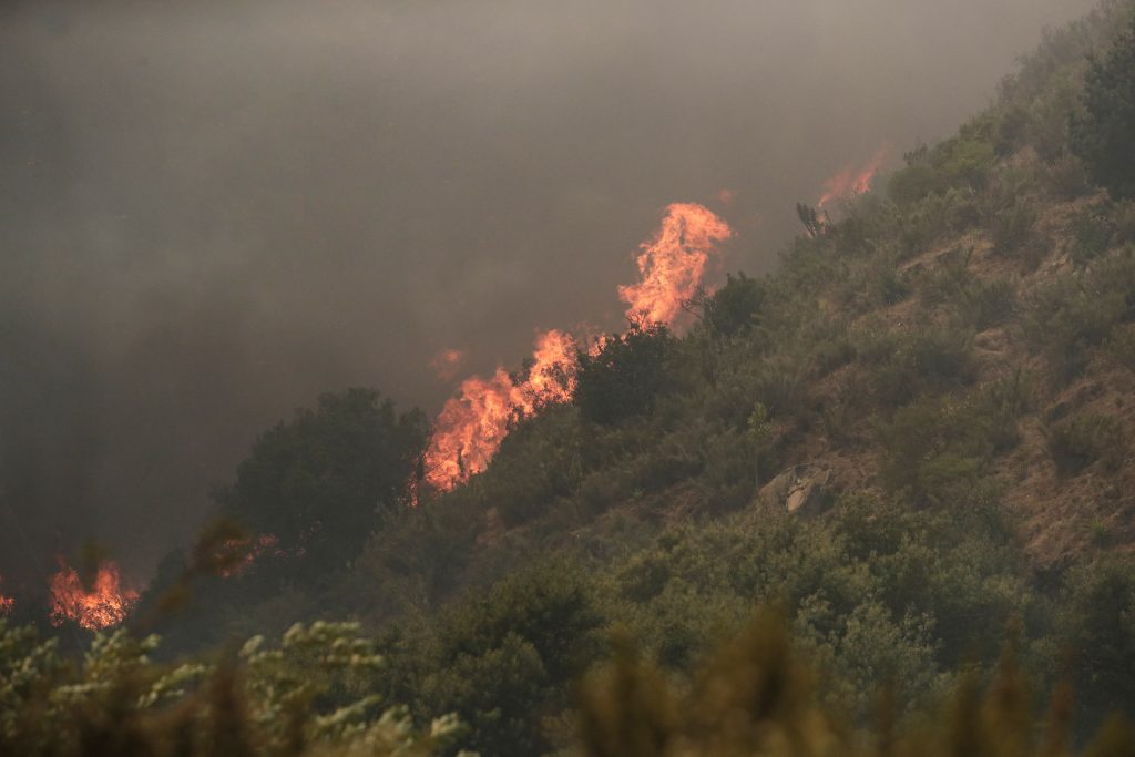 Forest fires in Chile's Vina del Mar region