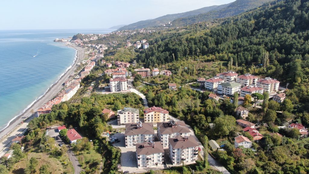 KASTAMONU'DA AYILAR İLÇEYİ MESKEN TUTTU KORKULARINDAN DIŞARI ÇIKAMAZ HALE GELDİLER, ÇAREYİ TEL ÖRGÜ ÇEKMEKTE BULDULAR
