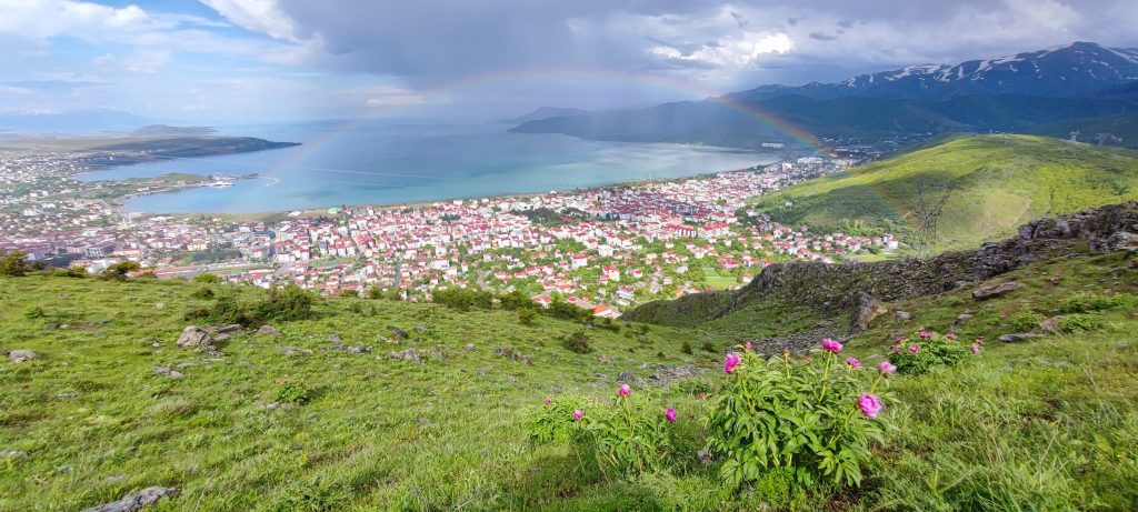 TATVAN'DA GÖKKUŞAĞI RENK CÜMBÜŞÜ OLUŞTURDU