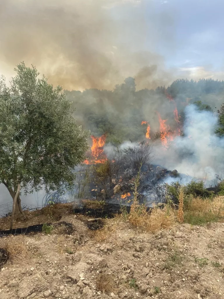 DENİZLİ'DE ÜÇ NOKTADA ORMAN YANGINI ÇIKTI