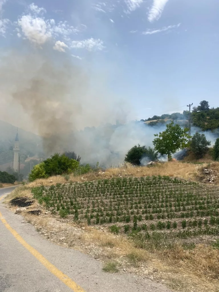 DENİZLİ'DE ÜÇ NOKTADA ORMAN YANGINI ÇIKTI