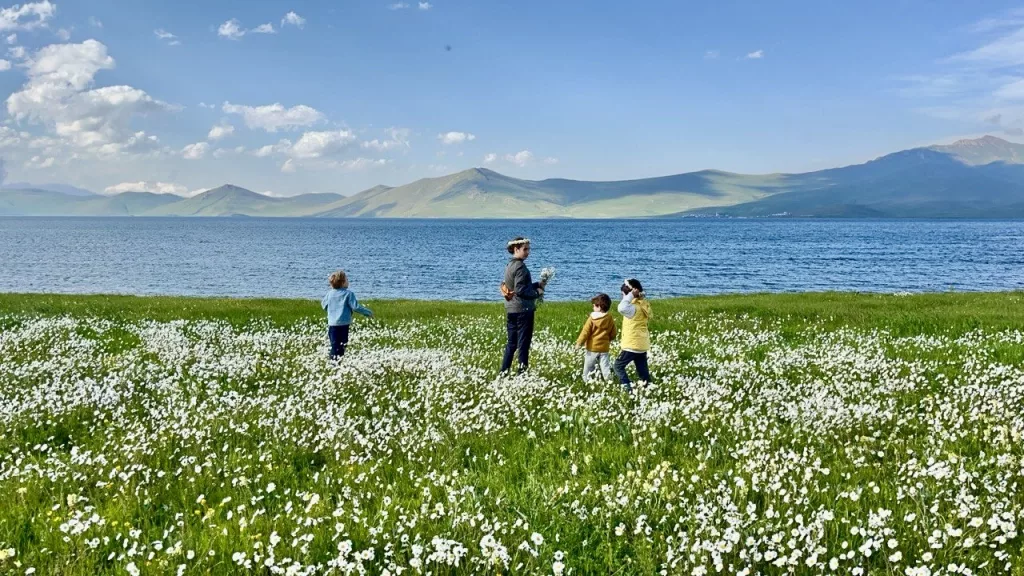 BEMBEYAZ PAPATYA TARLASI FOTOĞRAFÇILARIN GÖZDESİ
