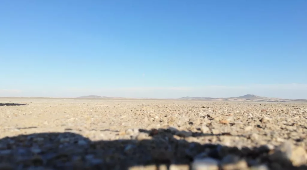 SEYFE GÖLÜ KUŞ CENNETİ ÇÖLE DÖNDÜ