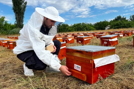 Türkiye Boosts Beekeeping in North Macedonia
